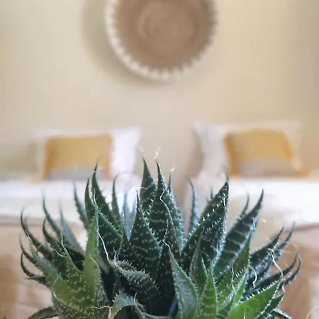 דירה Sole אגיוס גיורגיוס