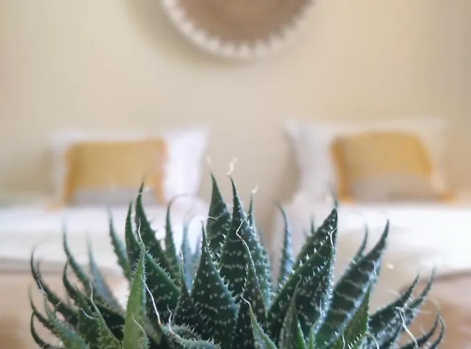 Apartman Sole Ájosz Jeórjosz